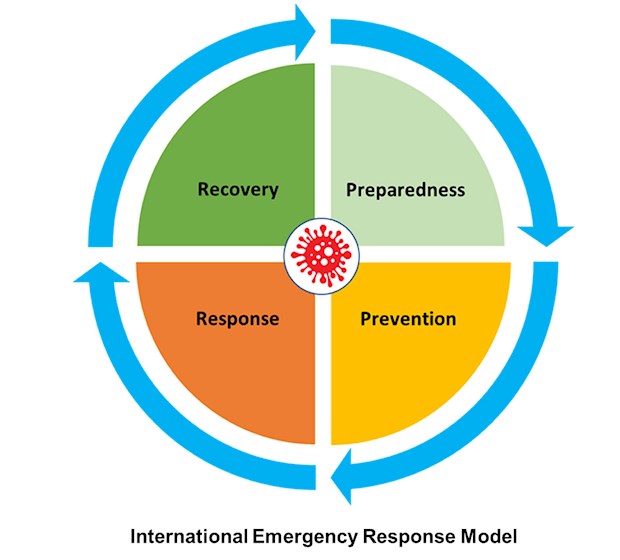 Global response plan pandemic