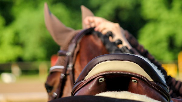 Horse saddle stitching