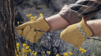 Cut-proof Gloves