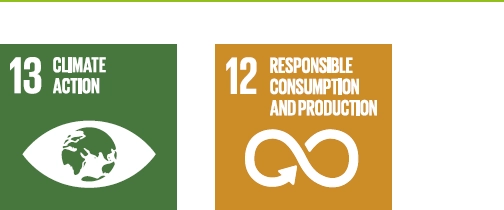 SDG 13 and 12