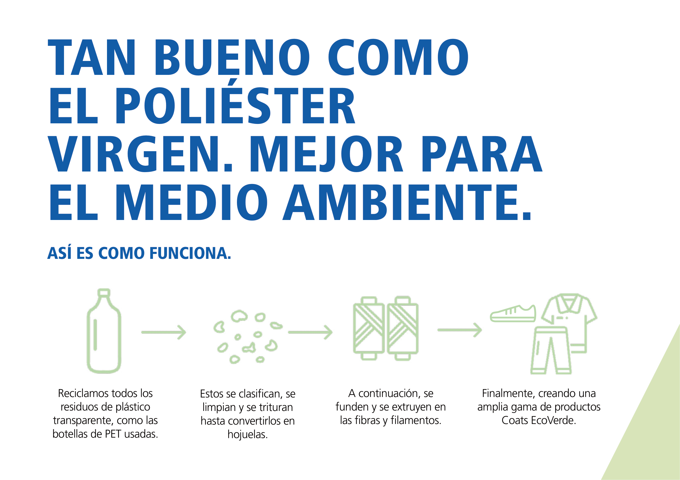 EcoVerde Infographic