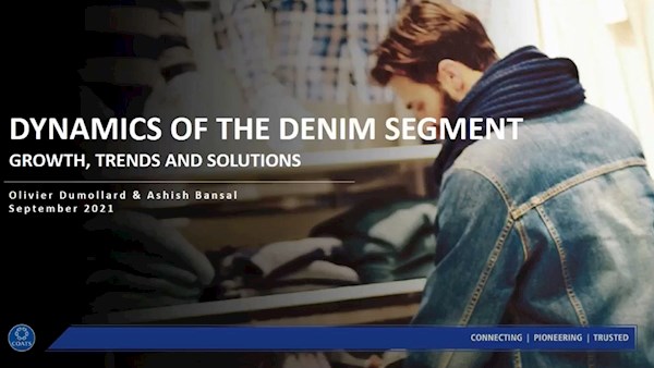 Dynamics of the Denim Segments