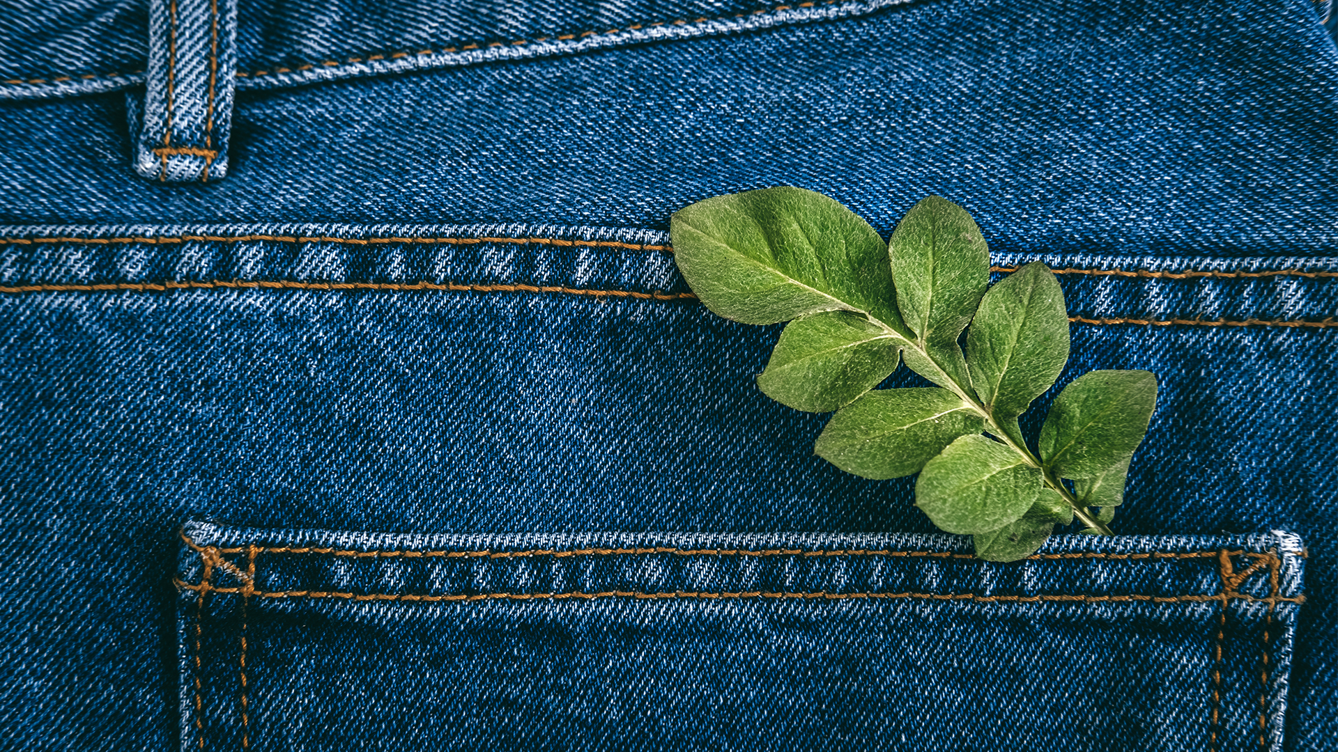 Jeans Ecológicos